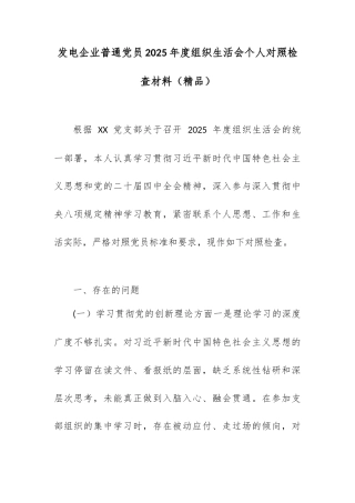 发电企业普通党员2025年度组织生活会个人对照检查材料.docx