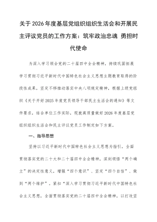 关于2026年度基层党组织组织生活会和开展民主评议党员的工作方案：筑牢政治忠魂 勇担时代使命.docx