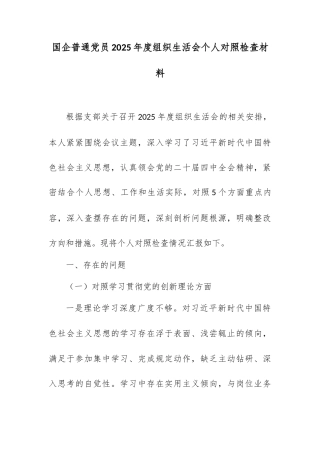 国企普通党员2025年度组织生活会个人对照检查材料.docx