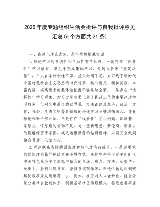 2025年度专题组织生活会批评与自我批评意见汇总(6个方面共21条).docx