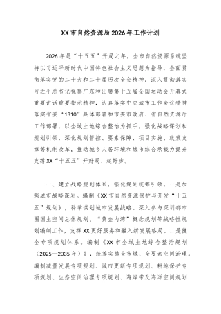 XX市自然资源局2026年工作计划.docx