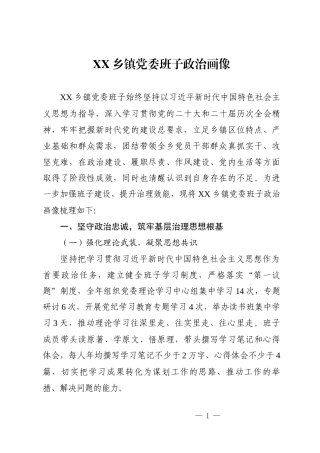 乡镇党委班子政治画像.docx