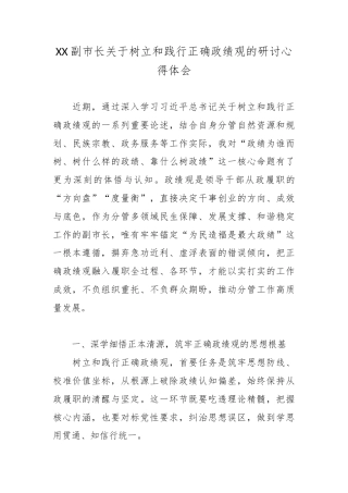 XX副市长关于树立和践行正确政绩观的研讨心得体会.docx