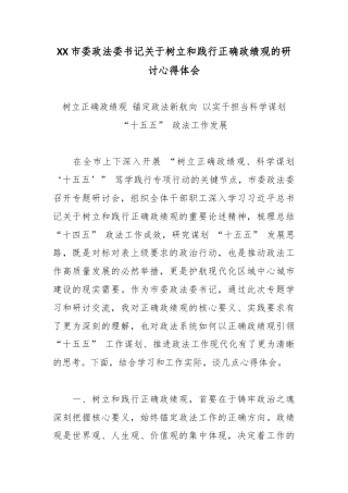 XX市委政法委书记关于树立和践行正确政绩观的研讨心得体会.docx
