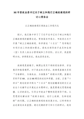XX市委政法委书记关于树立和践行正确政绩观的研讨心得体会2.docx