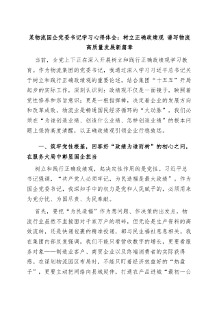 某物流国企党委书记学习心得体会：树立正确政绩观 谱写物流高质量发展新篇章.docx