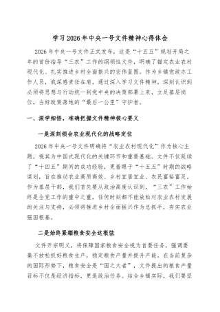 学习2026年中央一号文件精神心得体会.docx