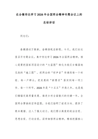 在全镇传达学习2026年全国两会精神专题会议上的总结讲话.docx