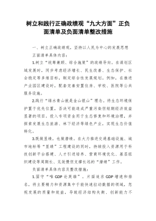 树立和践行正确政绩观“九大方面”正负面清单及负面清单整改措施.docx