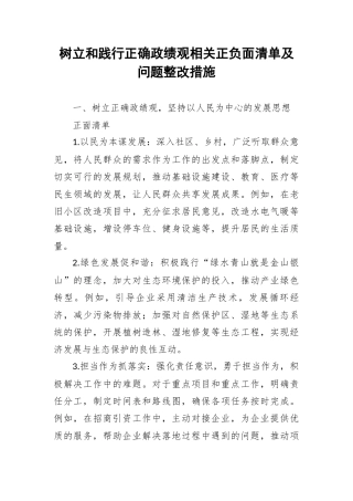 树立和践行正确政绩观相关正负面清单及问题整改措施.docx