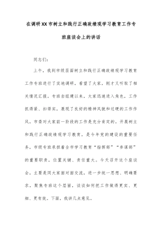 在调研XX市树立和践行正确政绩观学习教育工作专班座谈会上的讲话.docx