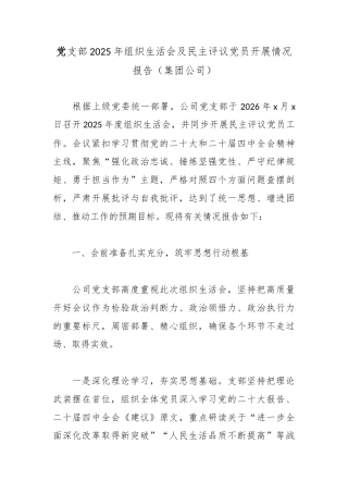 党支部2025年组织生活会及民主评议党员开展情况报告（集团公司）.docx