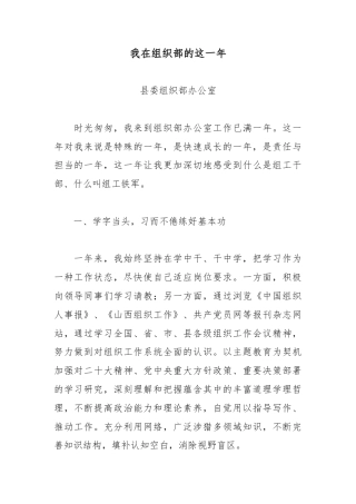 我在组织部的这一年.docx