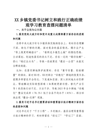 XX乡镇党委书记树立和践行正确政绩观学习教育查摆问题清单.docx