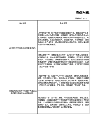 国企版问题整改台账（班子）.xlsx