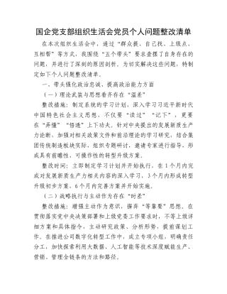 国企党支部组织生活会党员个人问题整改清单.docx
