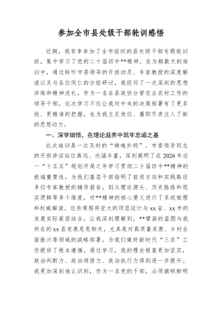 参加全市县处级干部轮训感悟.docx