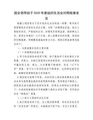 国企领导班子2025年度组织生活会对照检查发言.docx
