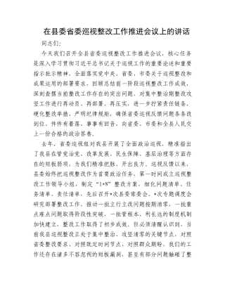 在县委省委巡视整改工作推进会议上的讲话.docx