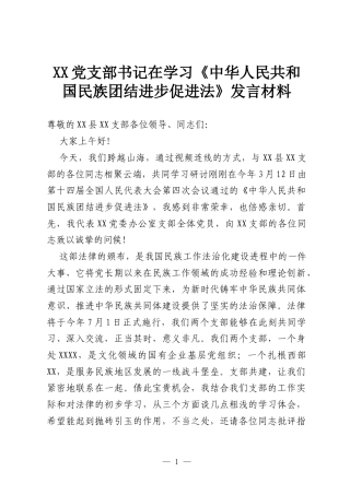 XX党支部书记在学习《中华人民共和国民族团结进步促进法》发言材料.docx