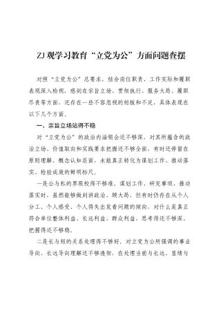 2026政绩观学习教育“立党为公”方面问题查摆.docx