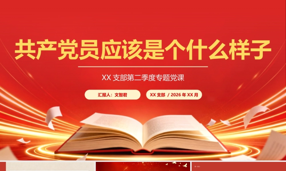 2026在XX支部第二季度党课上的讲稿：共产党员应该是个什么样子（PPT 讲稿）.pptx
