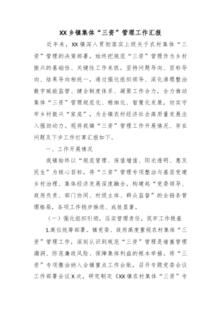 XX乡镇集体“三资”管理工作汇报2.docx