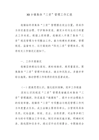 XX乡镇集体“三资”管理工作汇报3.docx