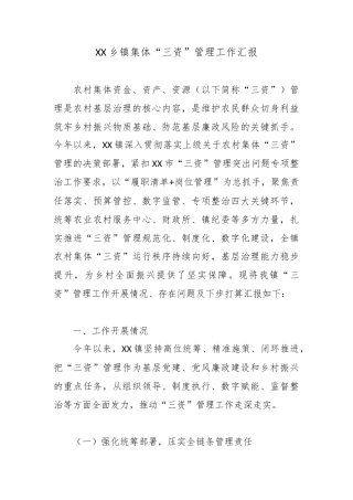 XX乡镇集体“三资”管理工作汇报4.docx