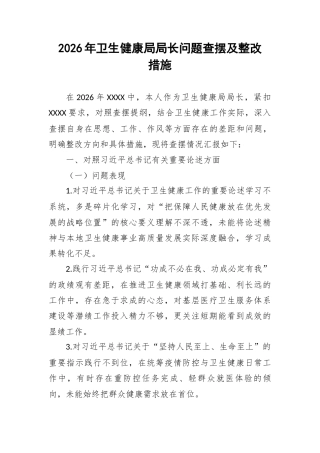 2026年卫生健康局局长问题查摆及整改措施.docx
