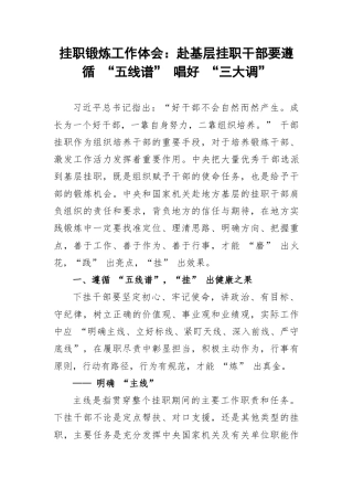 挂职锻炼工作体会：赴基层挂职干部要遵循 “五线谱” 唱好 “三大调”.docx