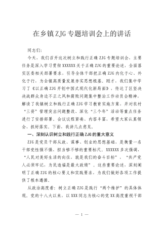 在乡镇ZJG专题培训会上的讲话.docx