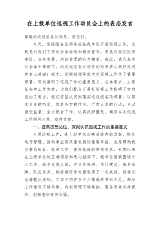 在上级单位巡视工作动员会上的表态发言.docx