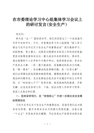 在市委理论学习中心组集体学习会议上的研讨发言(安全生产）.docx