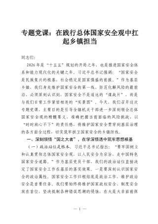 专题党课：在践行总体国家安全观中扛起乡镇担当.docx