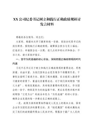 XX公司纪委书记树立和践行正确ZJG研讨发言材料.docx