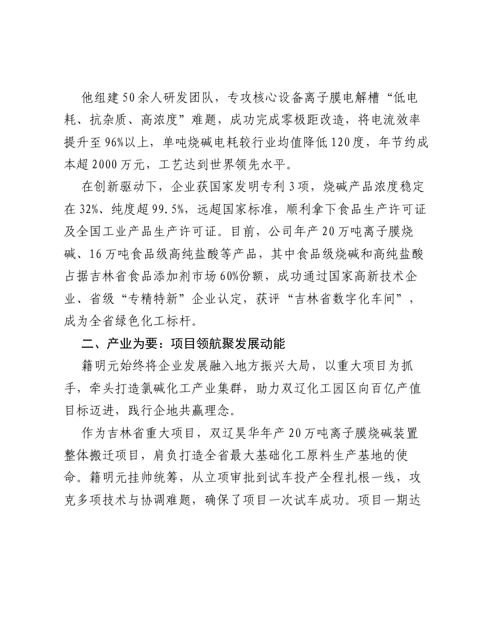 事迹材料：深耕绿色化工 履职尽责担当.docx_第2页