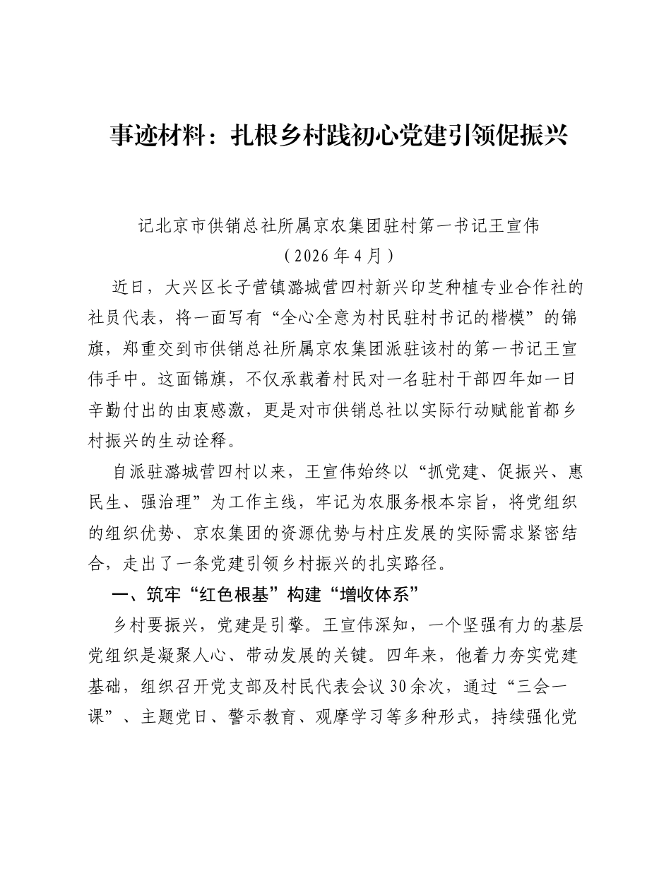 事迹材料：扎根乡村践初心 党建引领促振兴.docx_第1页