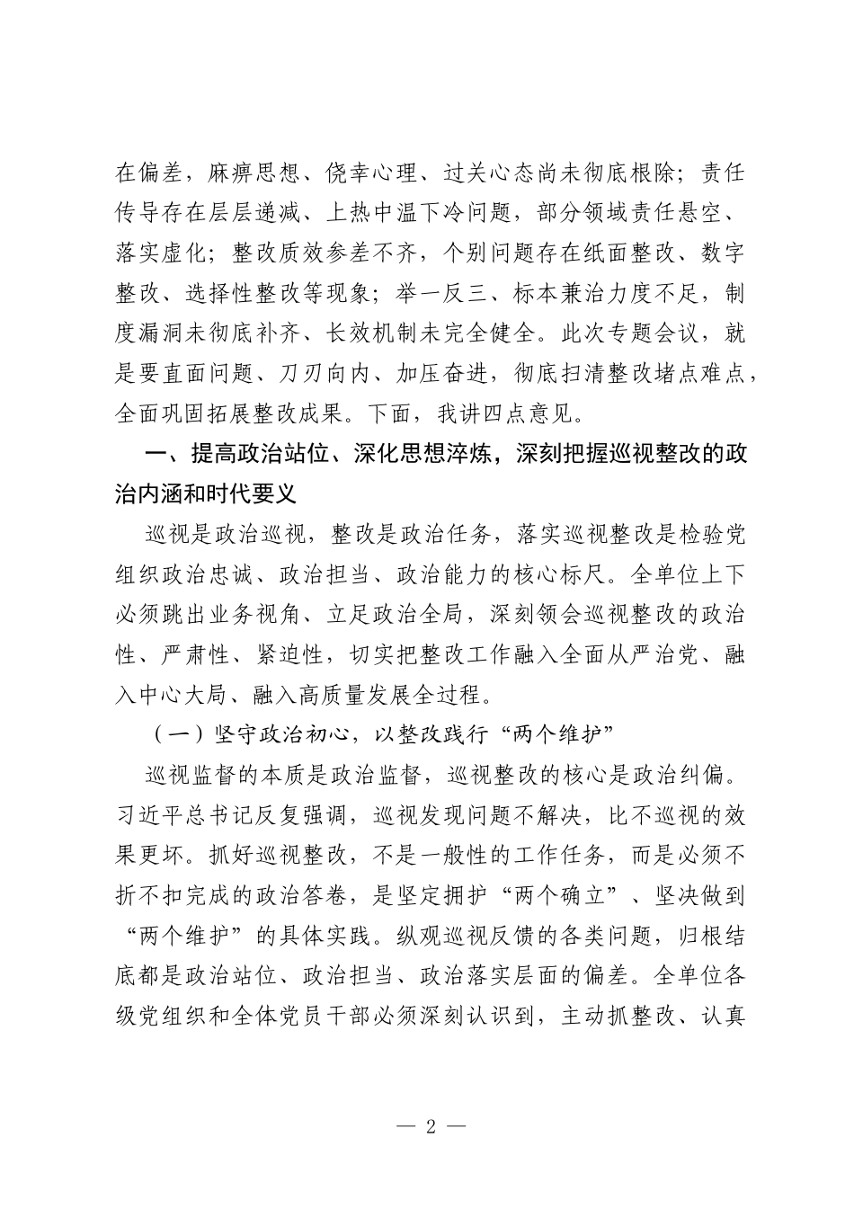 在2026年巡视整改工作专题会议上的讲话.docx_第2页