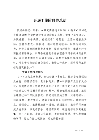 2026ZJG开展工作阶段性总结.docx