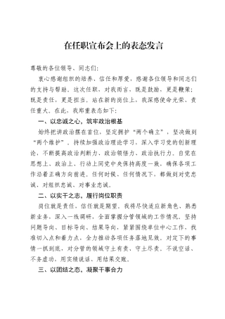 在任职宣布会上的表态发言.docx