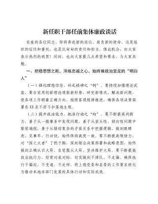 新任职干部任前集体廉政谈话.docx