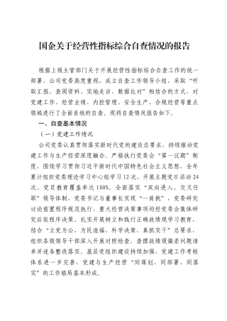 国企关于经营性指标综合自查情况的报告.docx