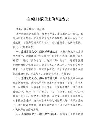 在新任职岗位上的表态发言.docx
