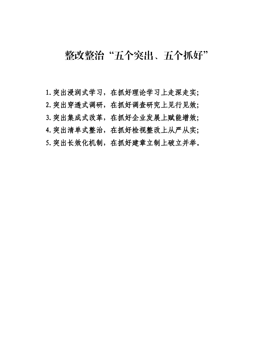 整改整治五个突出、五个抓好.docx_第1页