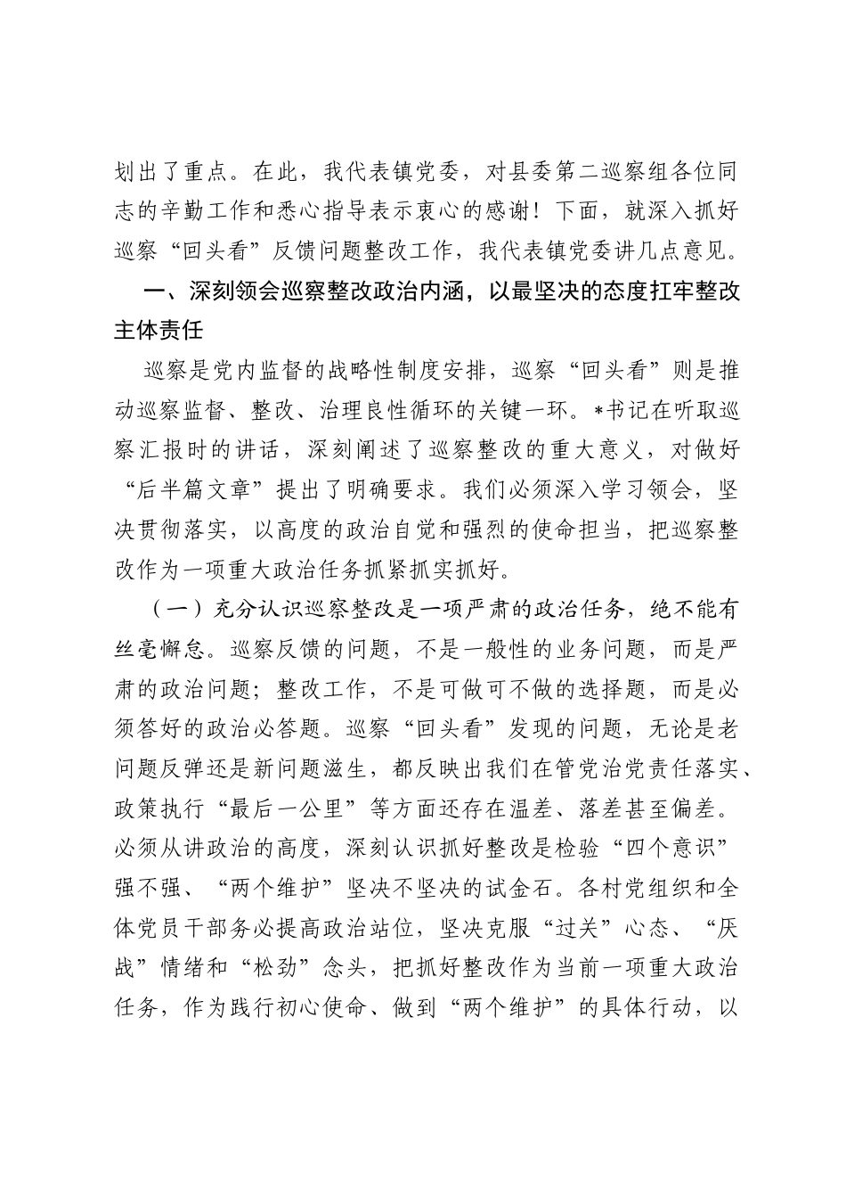 在乡镇巡察回头看情况反馈工作会议上的讲话.docx_第2页