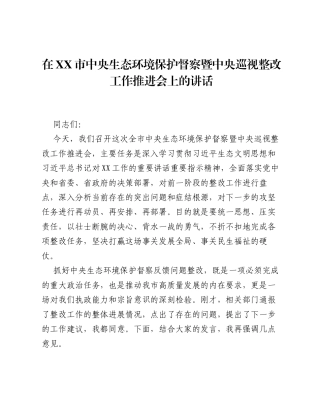 在XX市中央生态环境保护督察暨中央巡视整改工作推进会上的讲话.docx