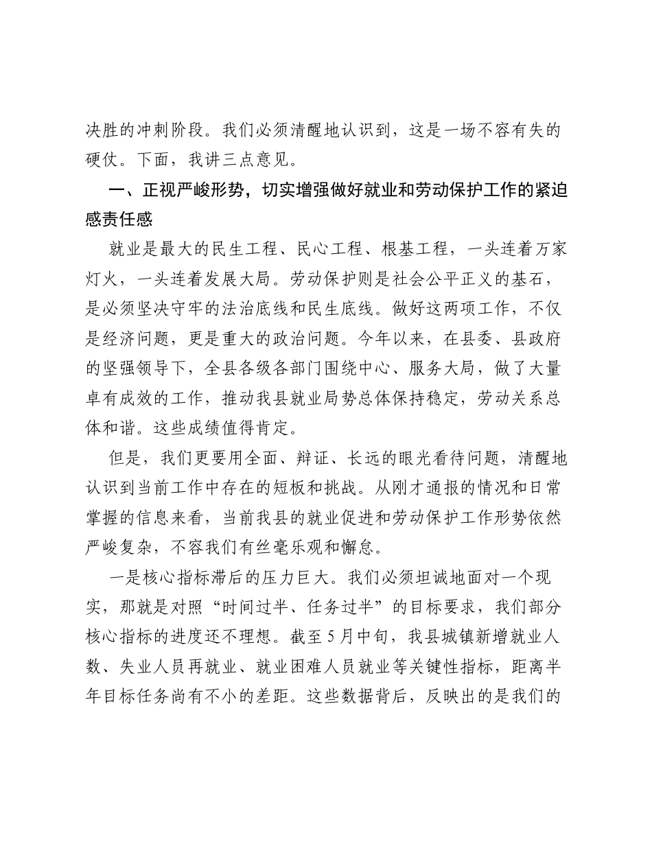 在全县就业促进和劳动保护工作推进会上的讲话.docx_第2页