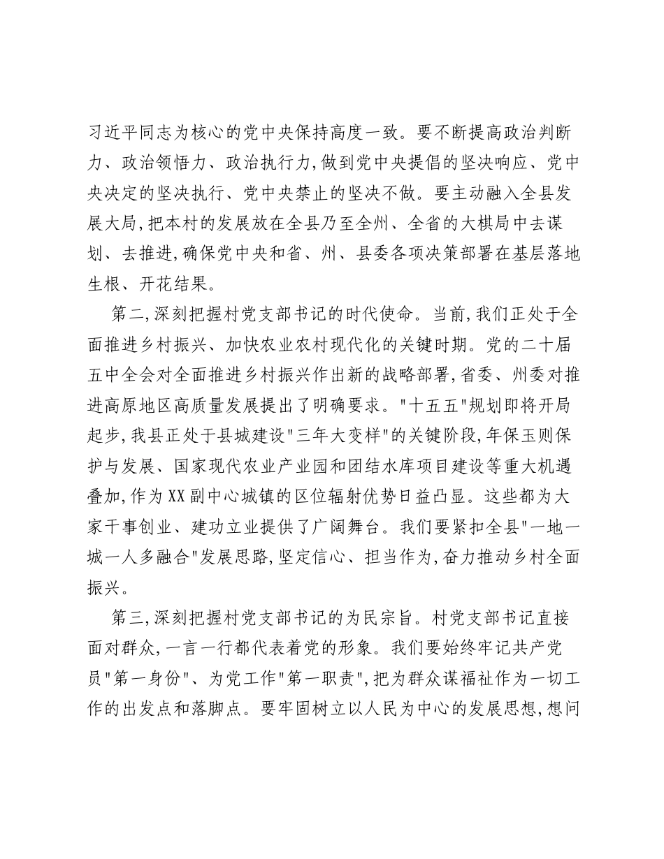 在全县新任村党支部书记专题党课上的讲话.docx_第2页
