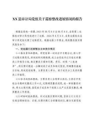 XX县审计局党组关于巡察整改进展情况的报告.docx